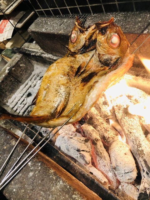 Mt.Ash（マウントアッシュ） - あおば通（居酒屋）の写真