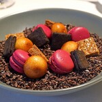 Restaurant Takashi Tanno par 長谷紫‐ゆかり - ミニョン　　木いちごのマカロン、チョコレートのサブレ、フィナンシェ、アーモンドのフロランタン
