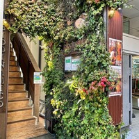 biodinamico - 