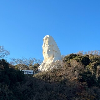 大船観音さまのおひざもと