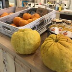 観音山フルーツパーラー - 