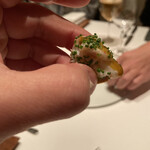 カンテサンス - 