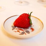 ペレグリーノ - 