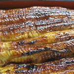 しんきょう - あっぷ