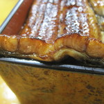 しんきょう - なかなか肉厚