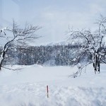 道の駅　いりひろせ - お店様内から「鏡が池」の撮影です(1/2UP)