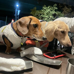 ガストロテカ ビメンディ - 