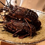 銀座 しのはら - 立派な伊勢海老