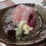 金澤玉寿司 - 富山産ぼたんえびのお造り