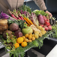 レフェルヴェソンス - 