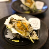 四ツ橋・新町 牡蠣と肉たらしビストロAKIRA - 