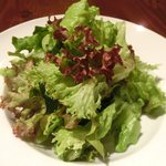 カメレオン - 肉料理 1000円 のサラダ