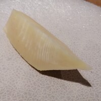 bb9 - 