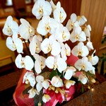 じょんのび館 - 