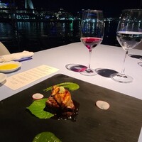 International cuisine subzero - 