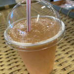 道の駅 七城メロンドーム - 