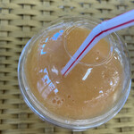 道の駅 七城メロンドーム - 