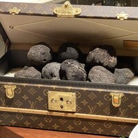 スガラボヴィー - トリュフ