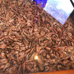 プレゼンテ スギ - 