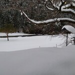 くつきそば 永昌庵 - 