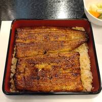 鰻割烹 伊豆栄 本店 - うな重(梅) 鰻割烹 伊豆栄 本店 - うな重(梅)
