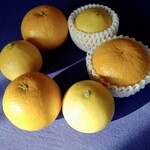 観音山フルーツガーデン - 料理写真:黄色いのが「ベルガモット」で、オレンジ色は「清見オレンジ」と「水晶文旦」を交配させた「春峰」