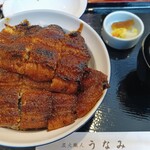 炭火職人 うなみ - 特上