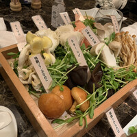 Shangri-La's secret ROPPONGI - 