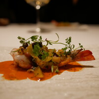 カンテサンス - 