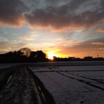 さかなどころ ともさき - 