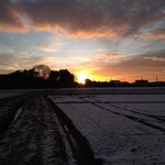 さかなどころ ともさき - 