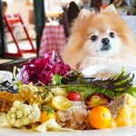 スーリール - 【2022.01】ほほえみランチ(税込1,650円)