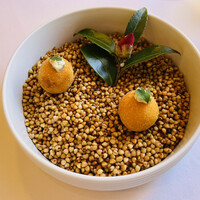 ラ・トゥーエル - アミューズ