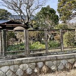 野の花庵 - お店前　駐車場部分