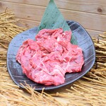 Shichirin Sumibiyakiniku Hi No Kuni - 