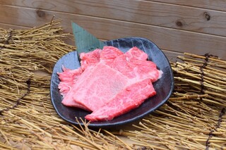 Shichirin Sumibiyakiniku Hi No Kuni - 