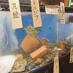 Asagaya Gyokou Chokubaijo - 店表にも店内にも水槽が。