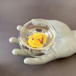 プレゼンテ スギ - 鱲大根