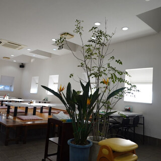 手延ラーメン 北山_2