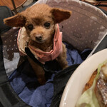 THE GREAT BURGER - くるみ