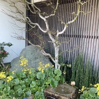 下鴨茶寮 本店 - 