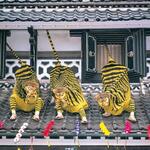 166528230 - これは宮城県加美町の伝統行事「火伏せの虎舞」。　
                      火災を始め家内安全を祈るお祭り。コロナが収束したら、皆さん是非見に来てください。