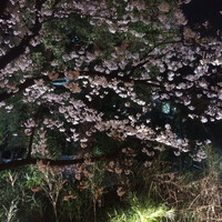 韻松亭 - 