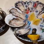 Oyster Bar ジャックポット - 