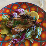 フィーコディンディア - 