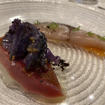 シャントレル - メジマグロ、サワラ