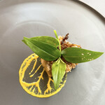 プレゼンテ スギ - 