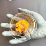 プレゼンテ スギ - 