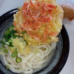 Fujimi Udon - 