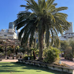 Little Darling Coffee Roasters - 